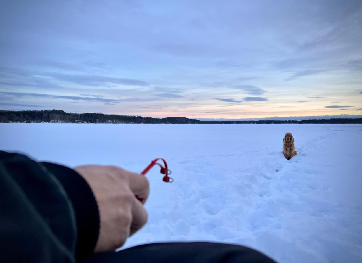 Vaelituvan Lomamoekit Punkaharju Eksteriør bilde
